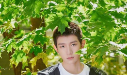 爆料吃瓜杨迪微博